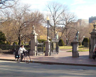 bikes and gardens