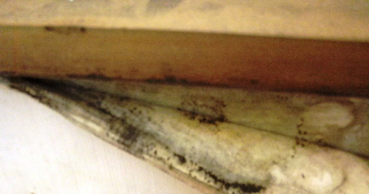 Mold Problems Gone Seoul Searching