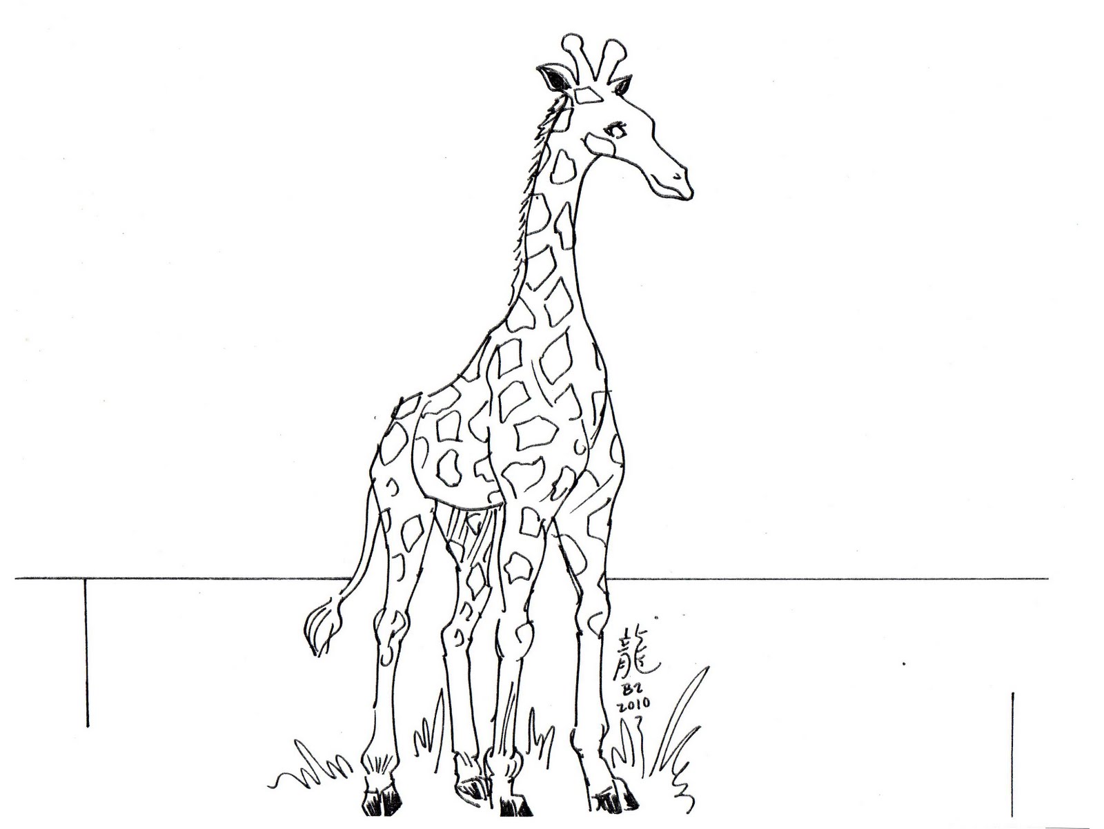 Outline Of Giraffe