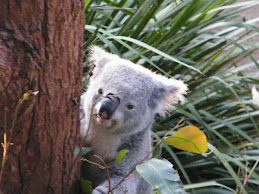 Blinky Bill