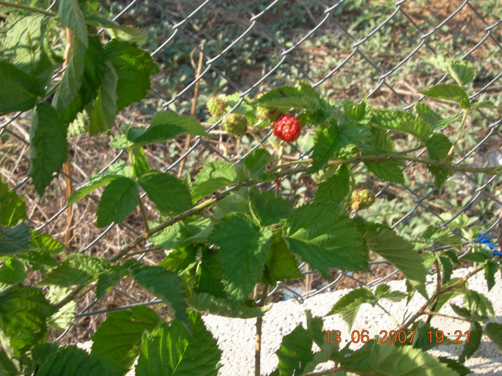 [DSCN1524.JPG]