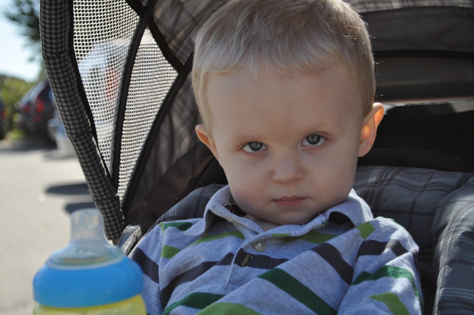 [DSC_0015.JPG]