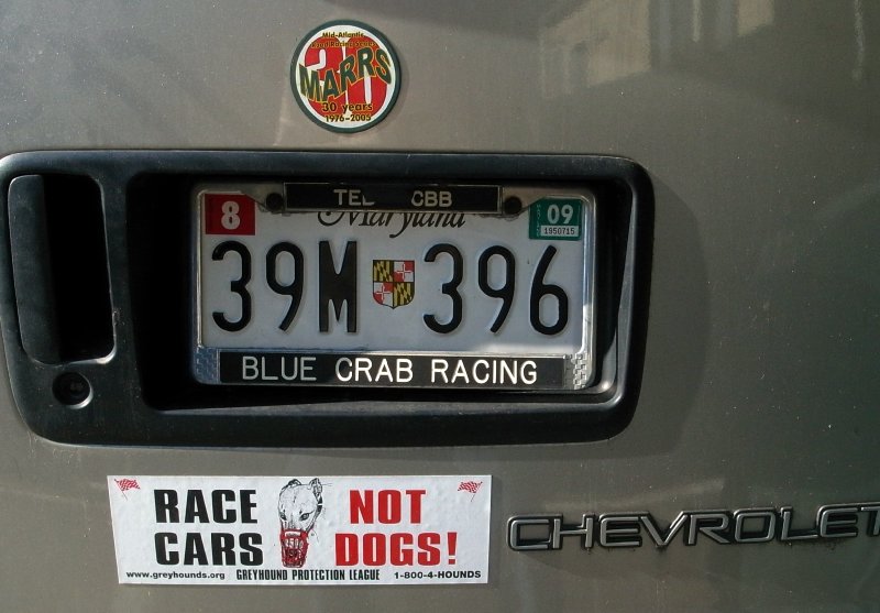 Race cars not dogs...