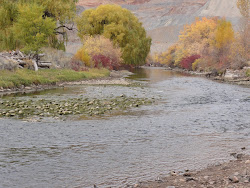 Autumn Near the Bridge