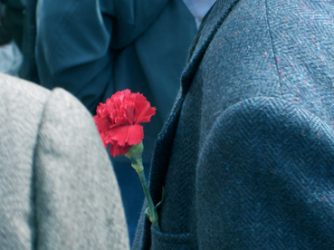 [carnation.jpg]