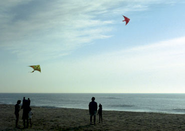 [kite.jpg]