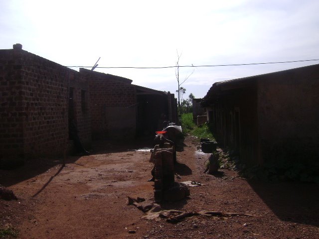[dsc00243.jpg]