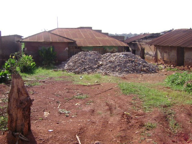 [dsc00248.jpg]