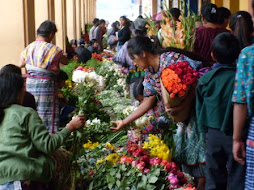 Venta de Flores