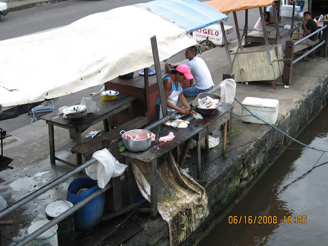 Street vendor Oriximina