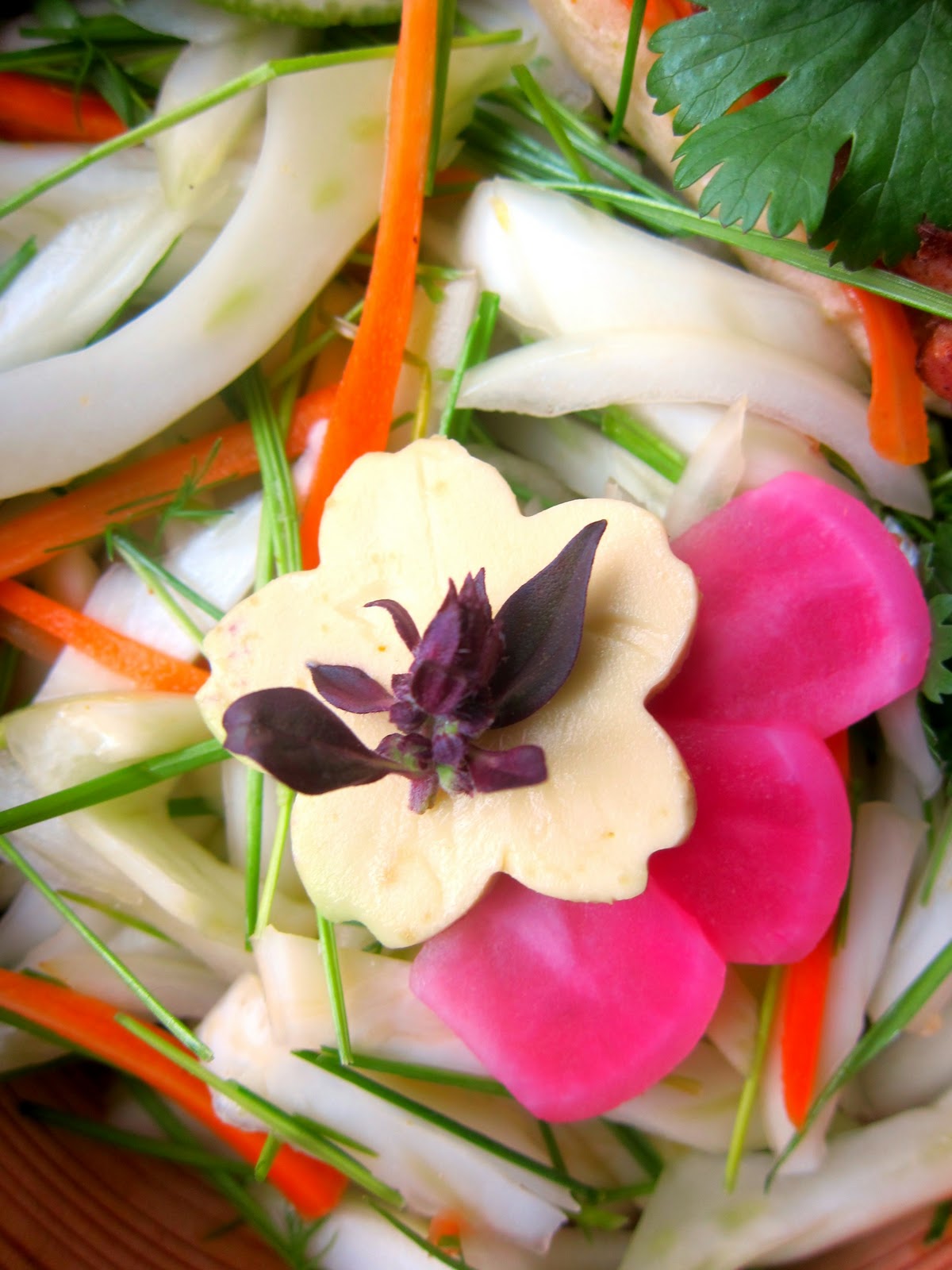 Bentobird vietnamese fennel salad bento