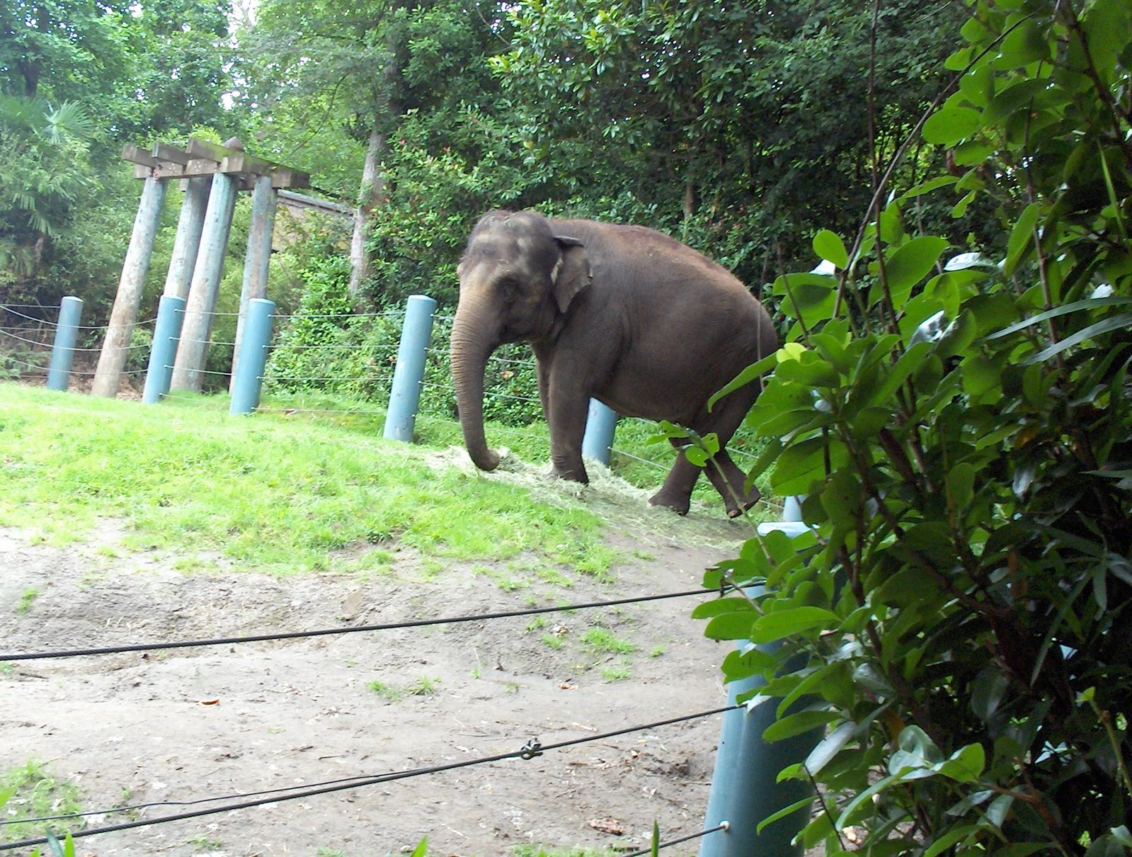 [zoo...2007+019.JPG]