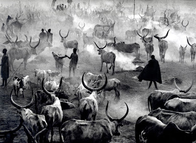 Salgado Dinka Cattle Camp