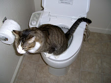 Tiger Using Toilet