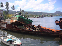 DOMINICA 15. Victimas de los huracanes