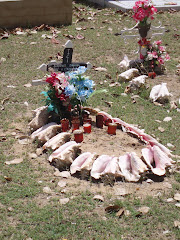 LES SAINTES. Un cementerio