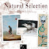 NATURAL SELECTION - DISTINCTION GALLERY