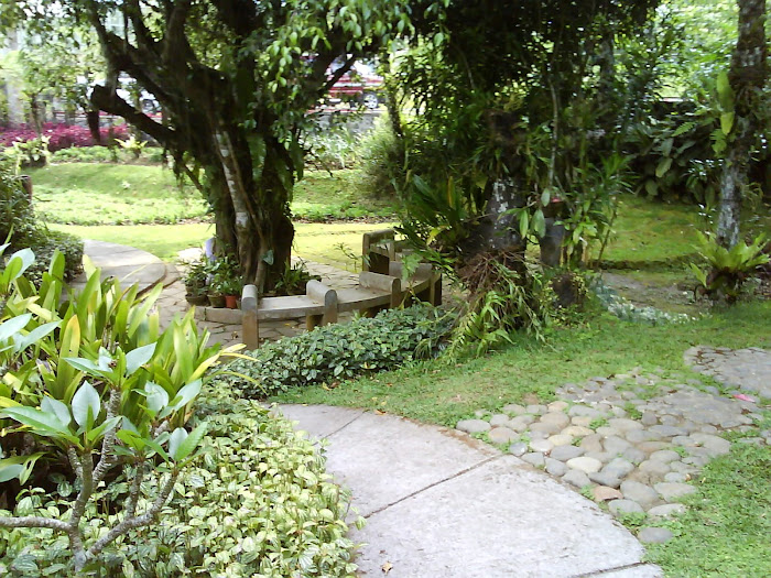 Taman Anggrek