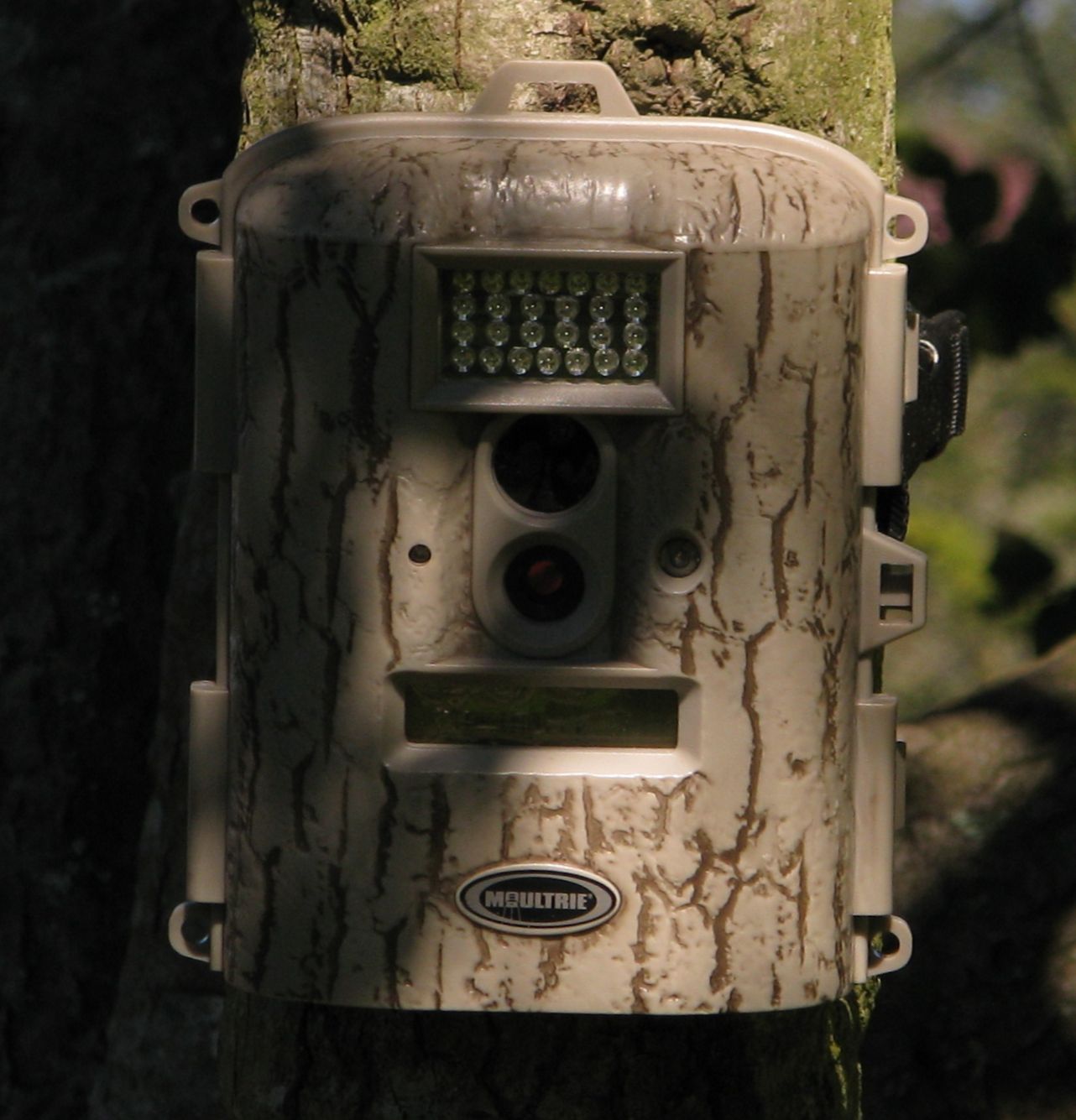 backyard critter watch The Game Camera