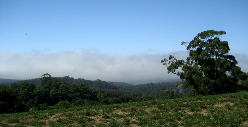 [Frontal+cloud+mass.JPG]