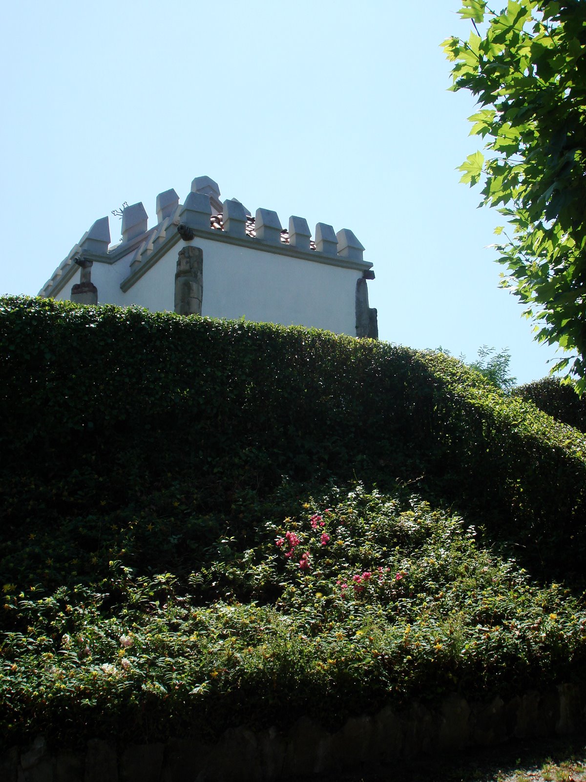 [DSC04183.JPG]