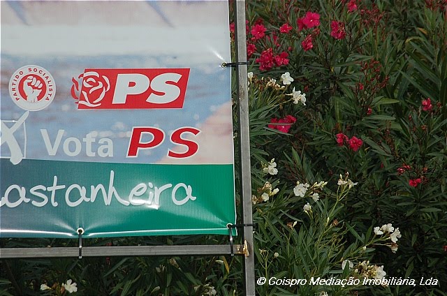 [Gois+property++00009.JPG]