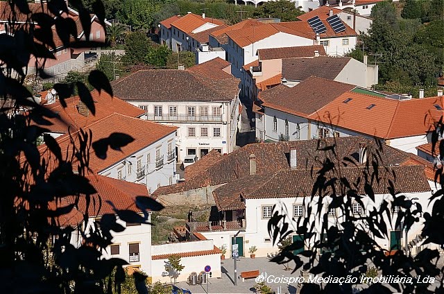 [Gois+property++0008.JPG]