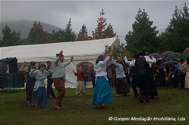 [0Gois+property++011.JPG]