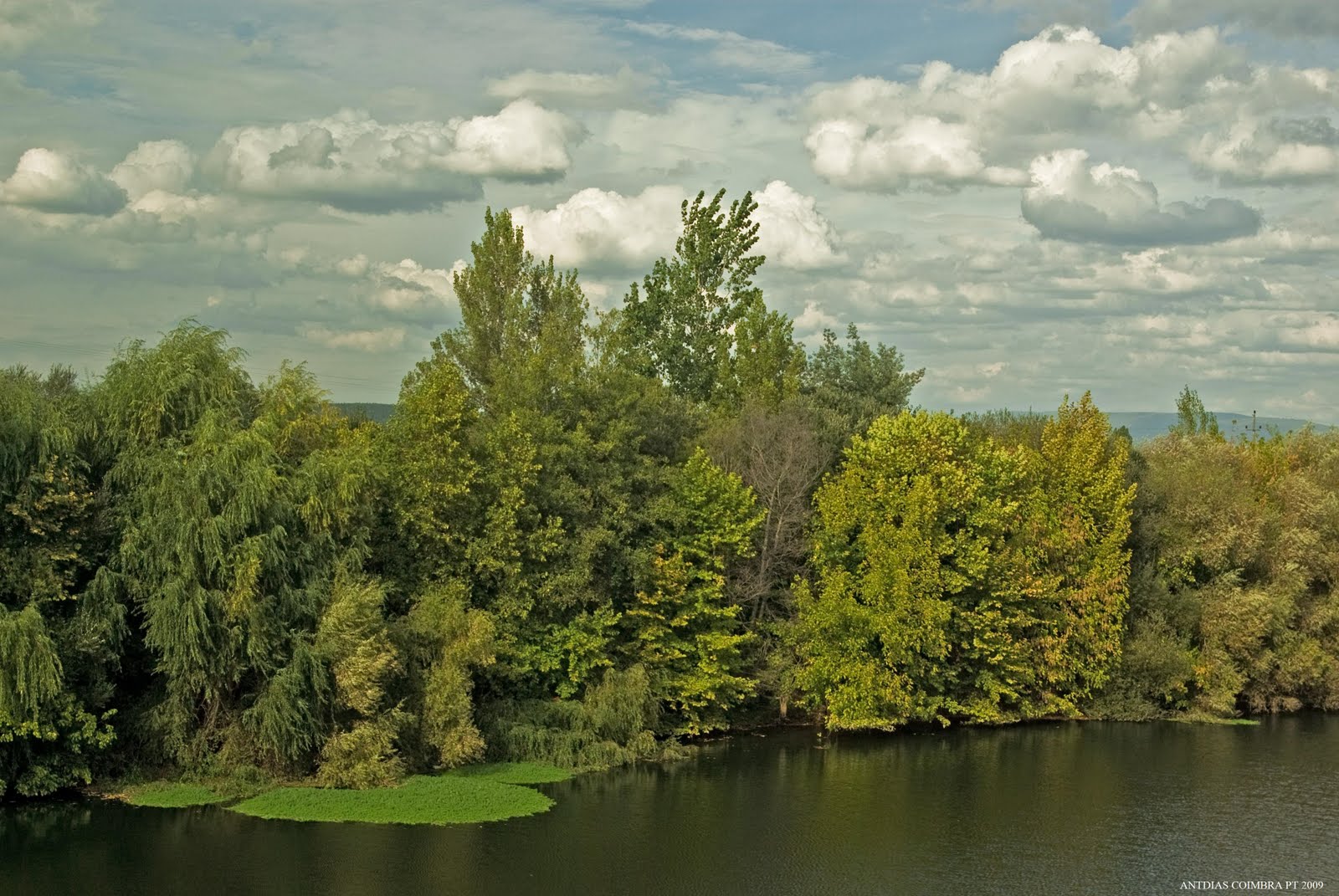 [Watermark_496.jpg]