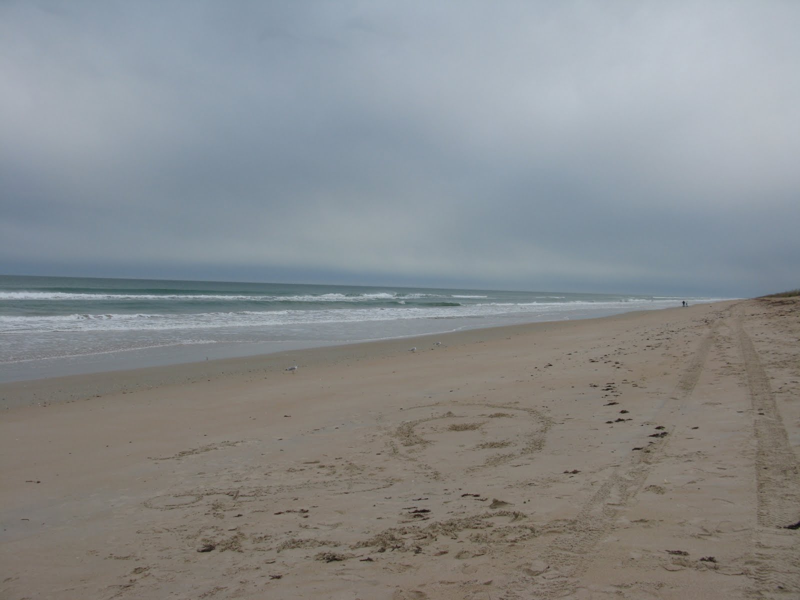 C2C Canaveral National Seashore