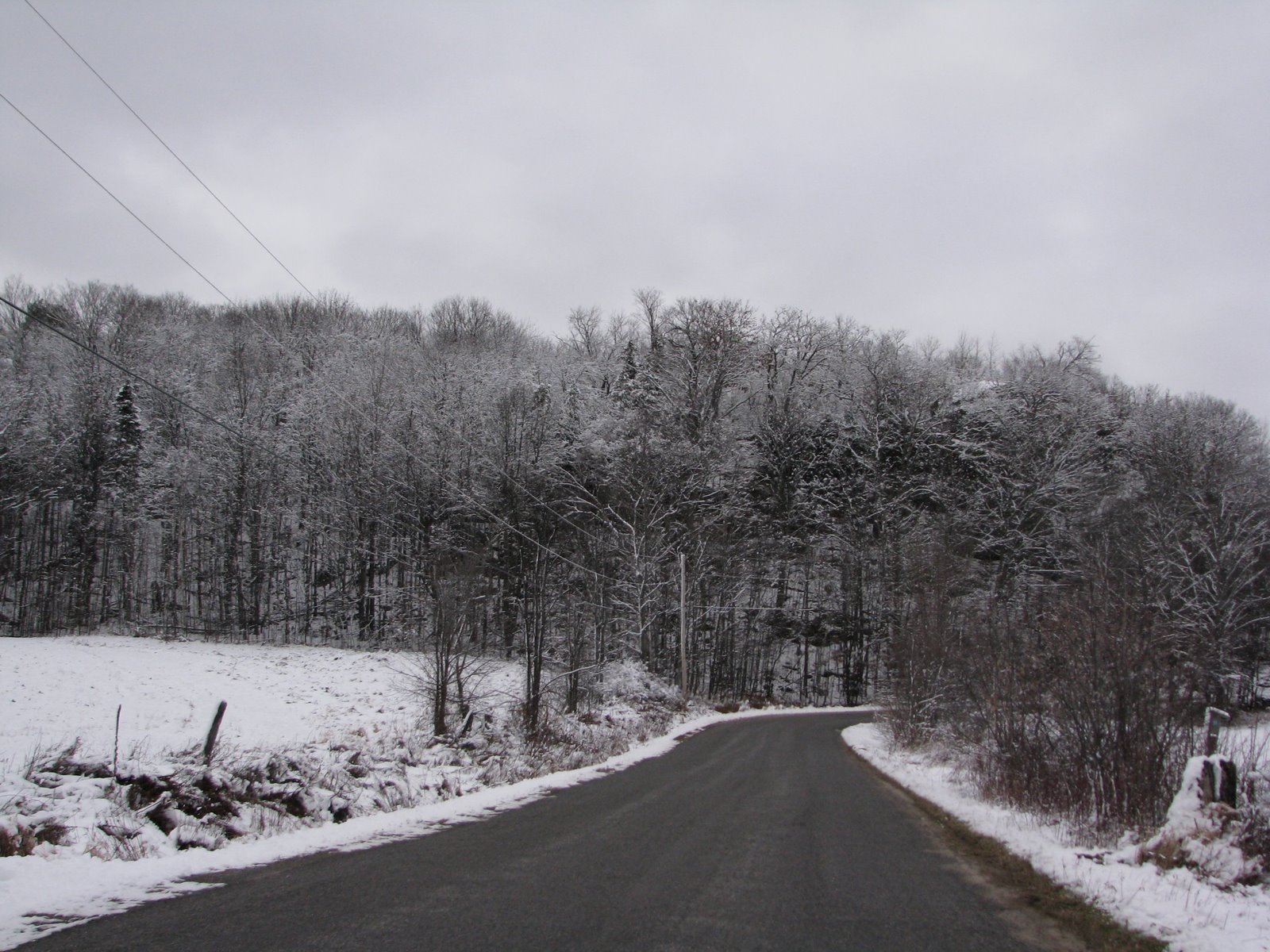 [IMG_1598.JPG]