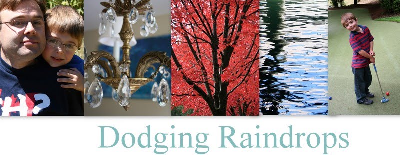 Dodging Raindrops