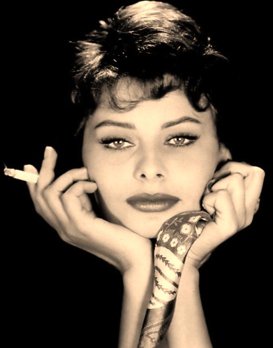 Sophie Loren Porn