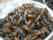 My Valentines Day gift to Jo...