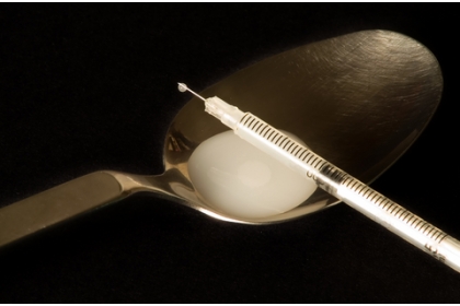 Snowflake De La Extaz La Agonie