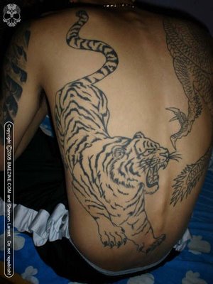 tiger tattoos. Tribal Tiger Tattoo - Flash