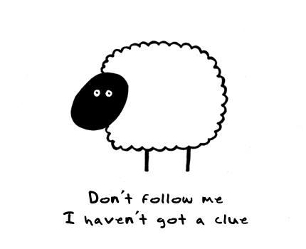 [follow.gif]
