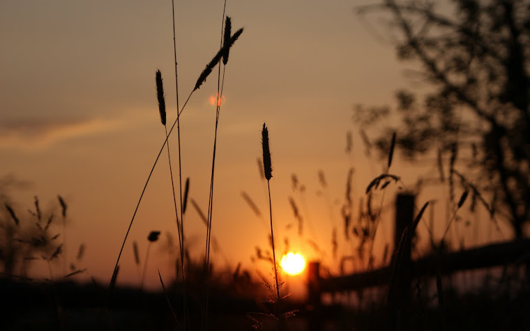 Abendstille