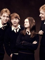 The Weasley Family ♥