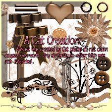 Choc & Toffee Scrapkit