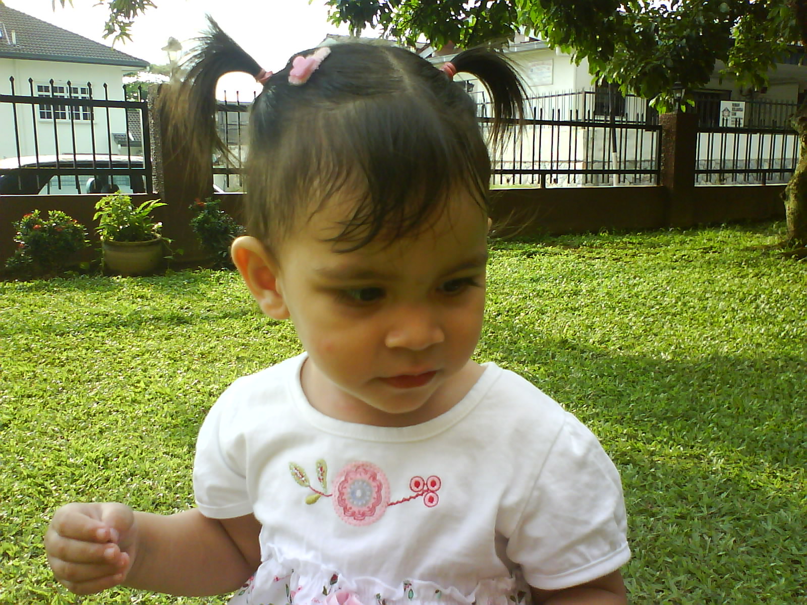 [DSC00543.JPG]