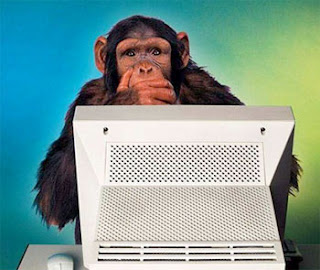 Test Monkey