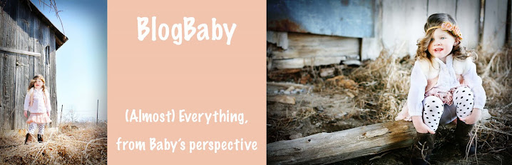 BlogBaby