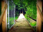 Swinging Bridge