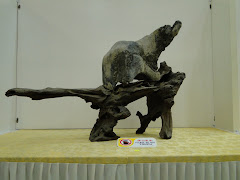 霹雳盆栽雅石协会观摩展览作品2010