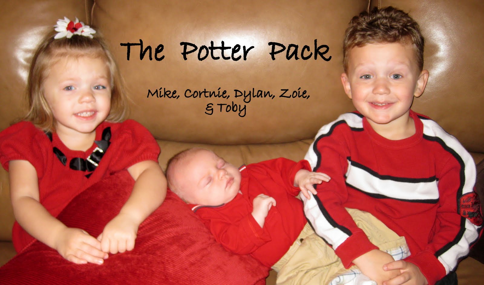 The Potter Pack