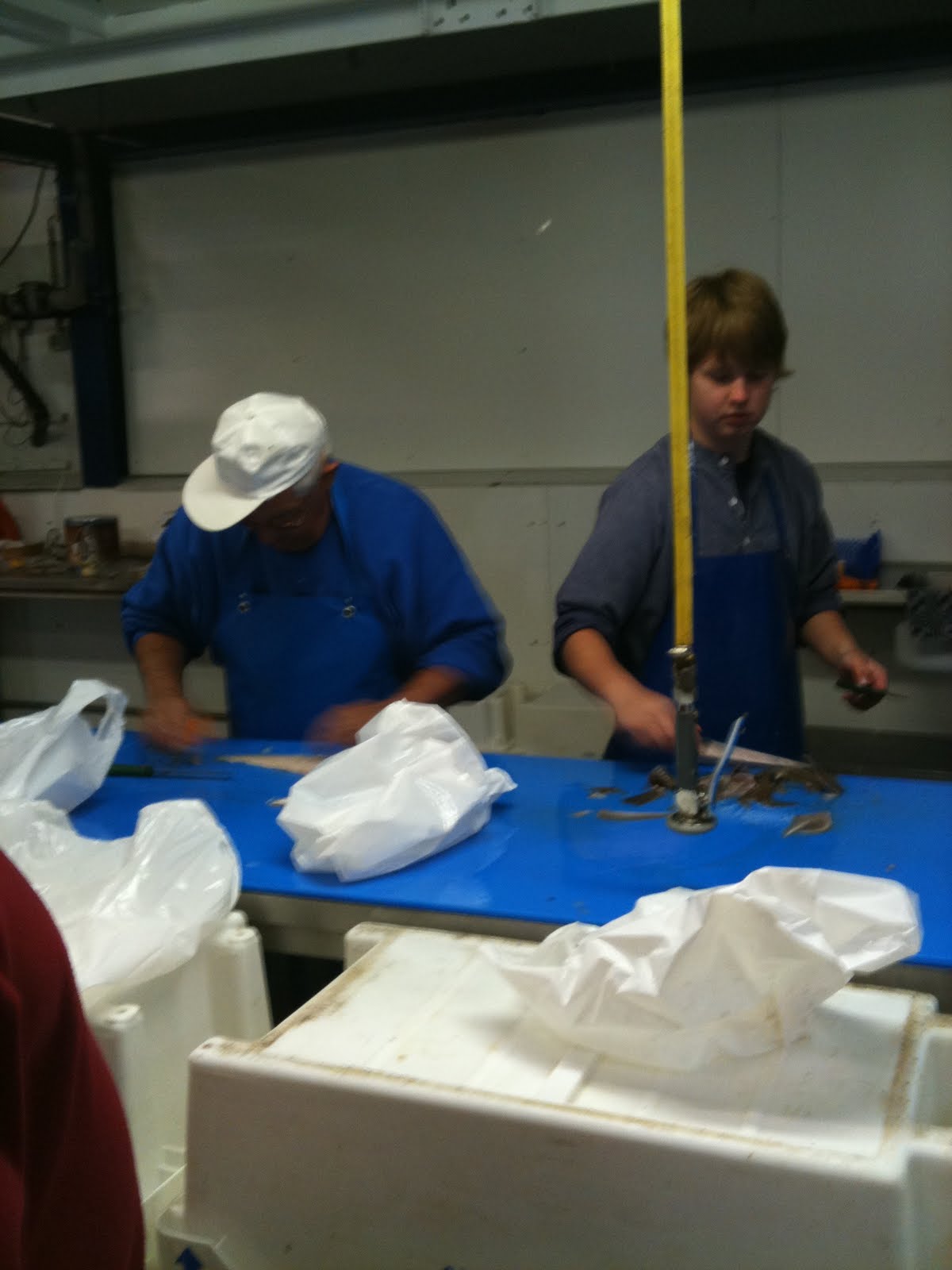 incontrare ragazze su internet mobile