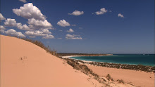 Les plages de Ningaloo National Park