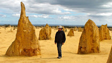 Lucie parmi les pinnacles