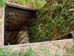 Piège vietcong a Cu Chi